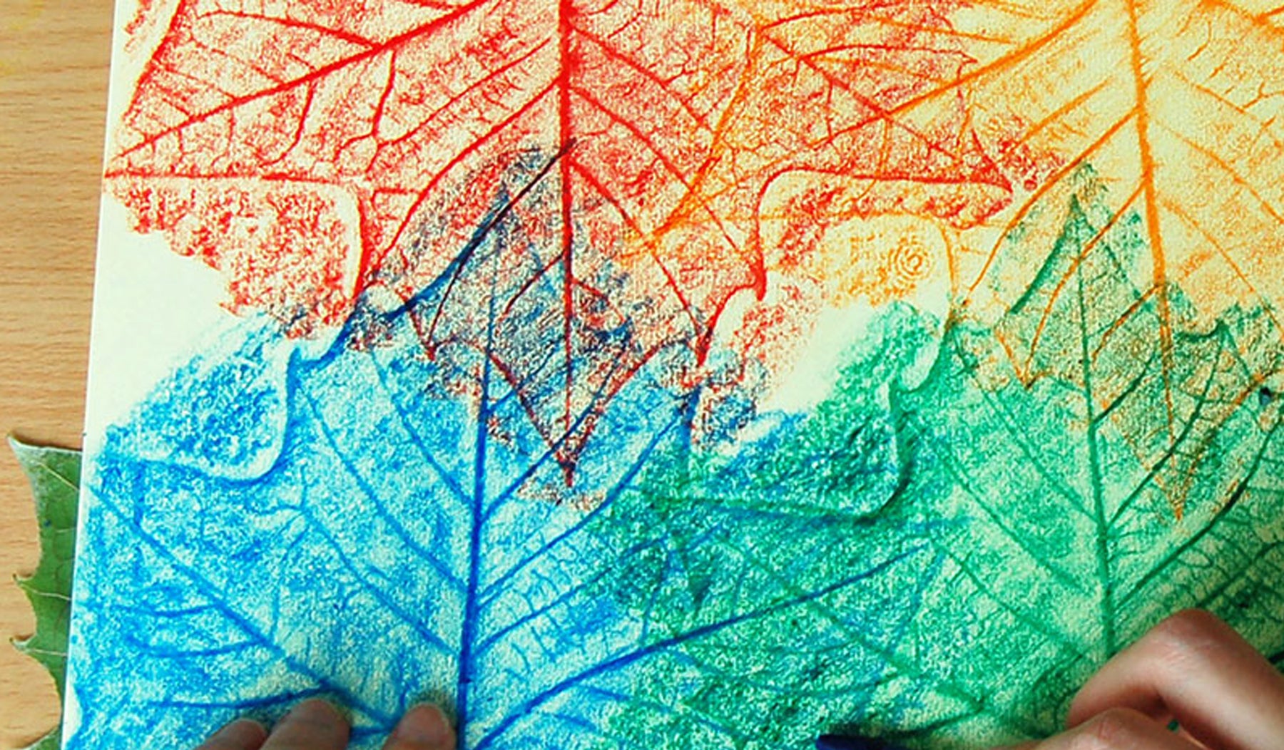 rainbow leaves
